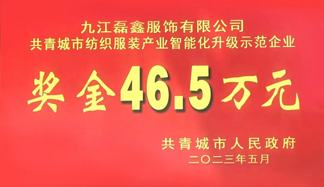 客戶新聞 | 磊鑫服飾榮獲紡織服裝產(chǎn)業(yè)智能化升級(jí)示范企業(yè)！